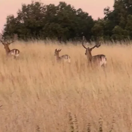 Luzin 2-5 Pers - Luxus, Steg, Boot Appartement