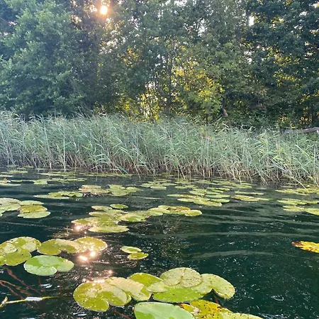 Appartement Luzin 2-5 Pers - Luxus, Steg, Boot *