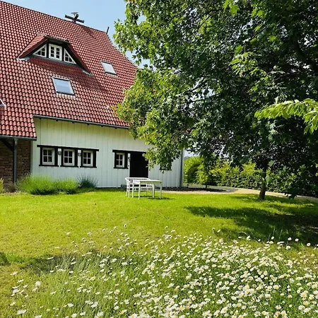 Appartement Luzin 2-5 Pers - Luxus, Steg, Boot Rothehaus